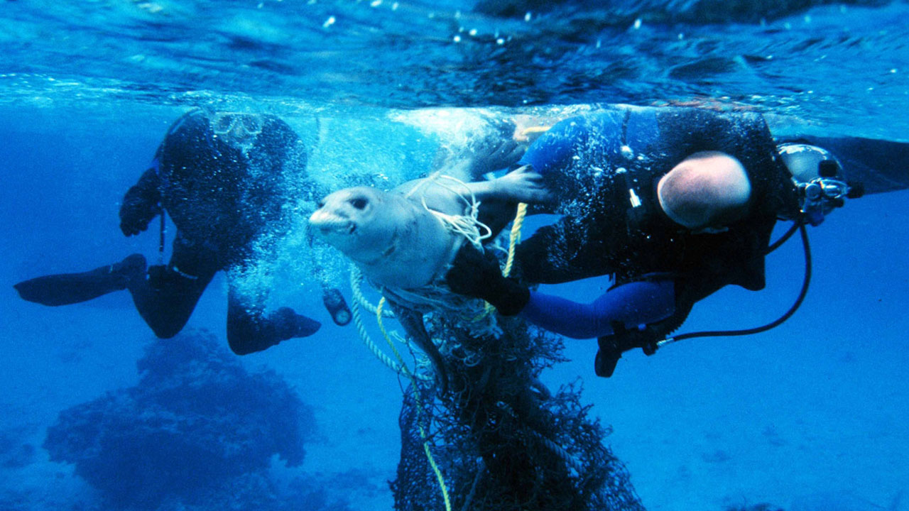 trashtalk-attentiongetter_1280