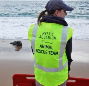 Animal Rescue